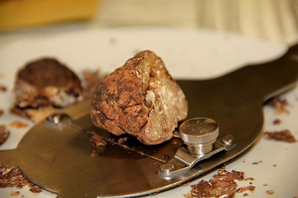 Truffe Extra